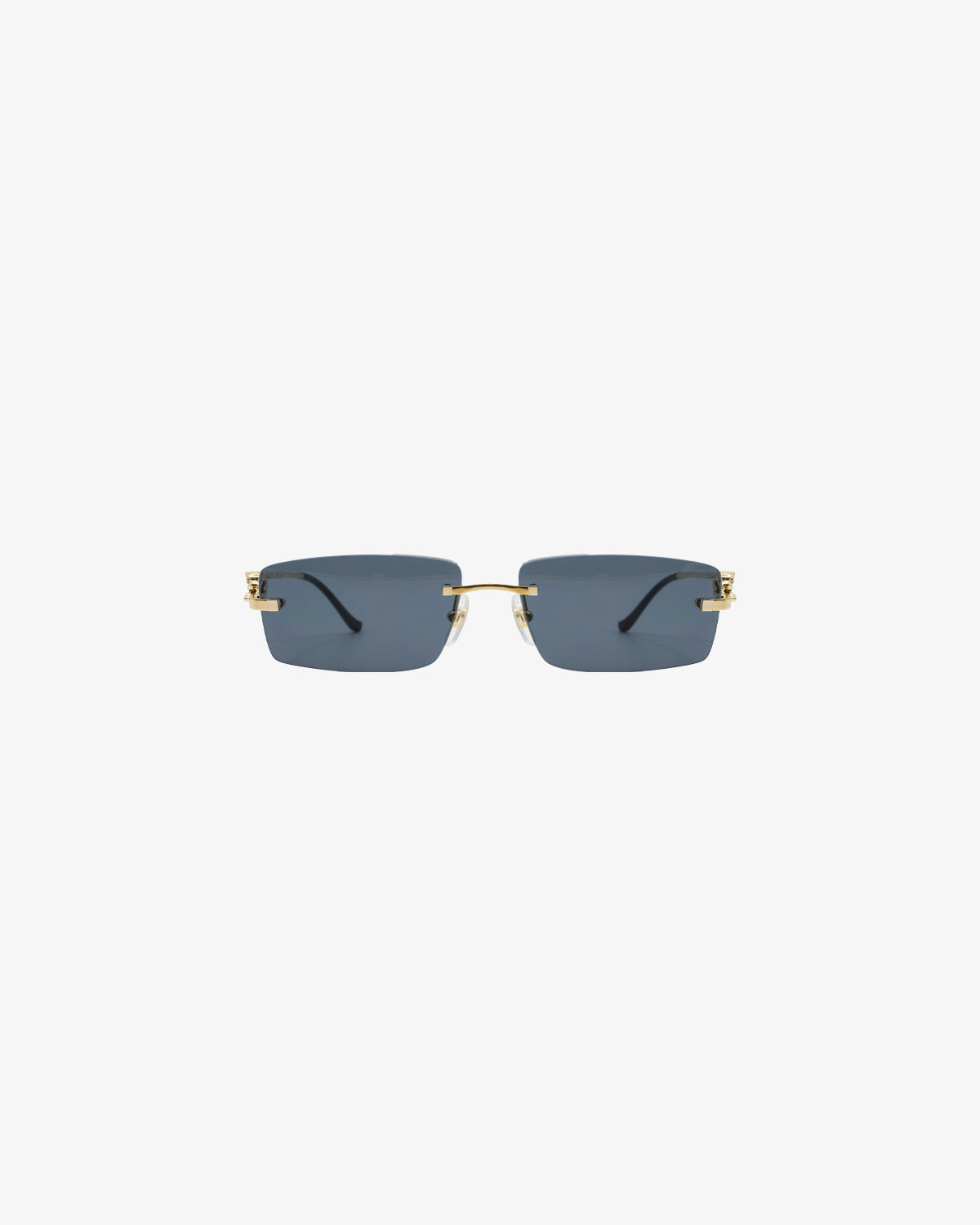 CARTIER CT0430S / 001