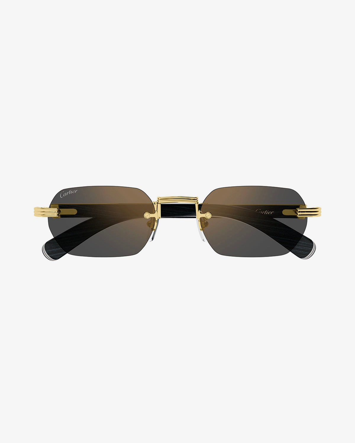 CARTIER CT0362S / 007
