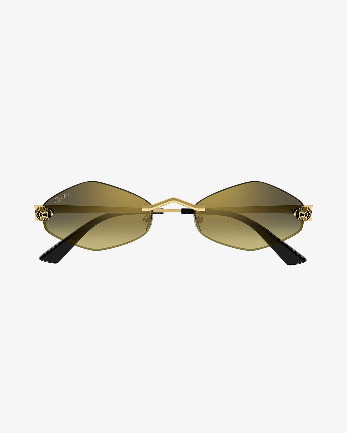 CARTIER CT0433S / 008