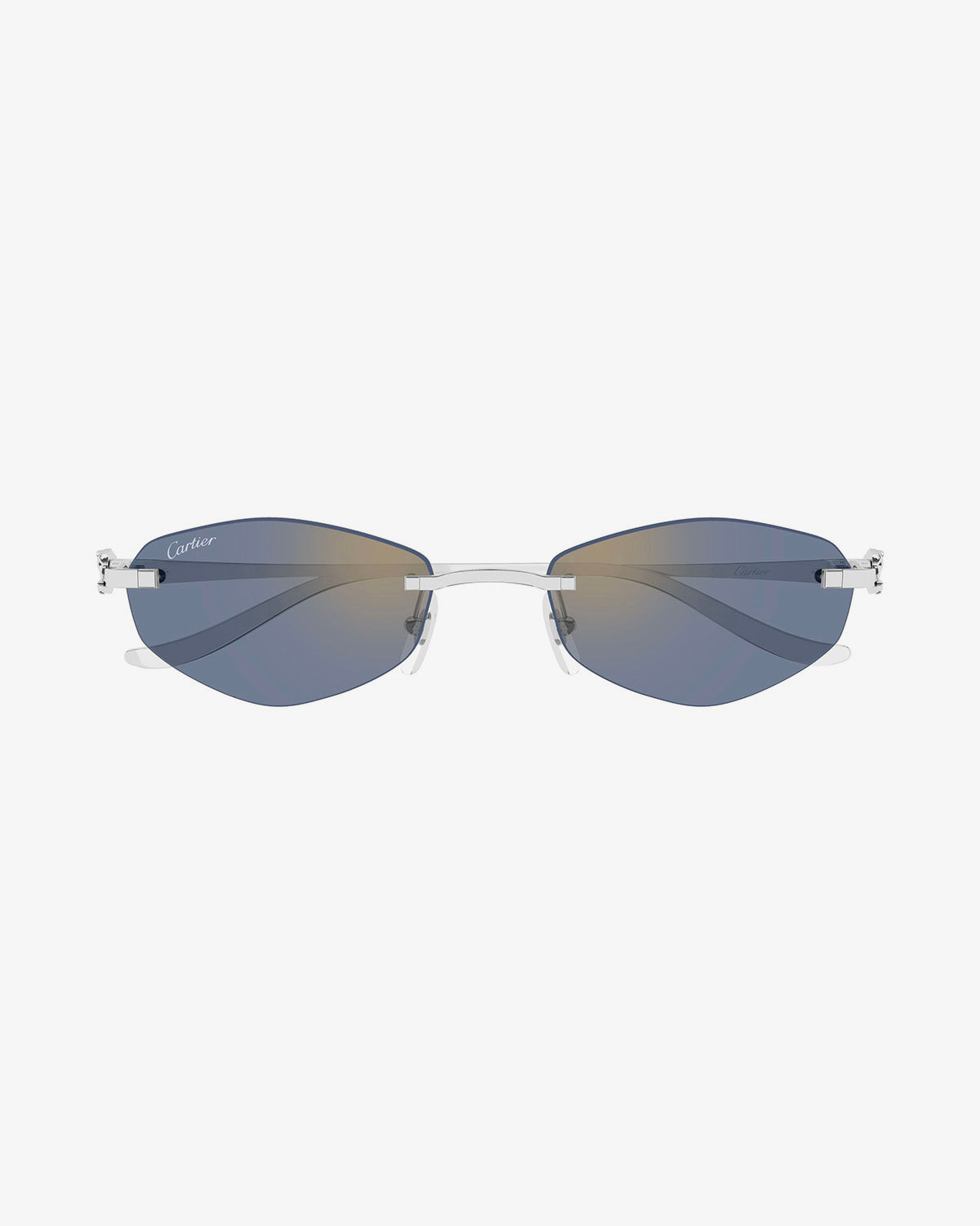 CARTIER CT0675S / 005