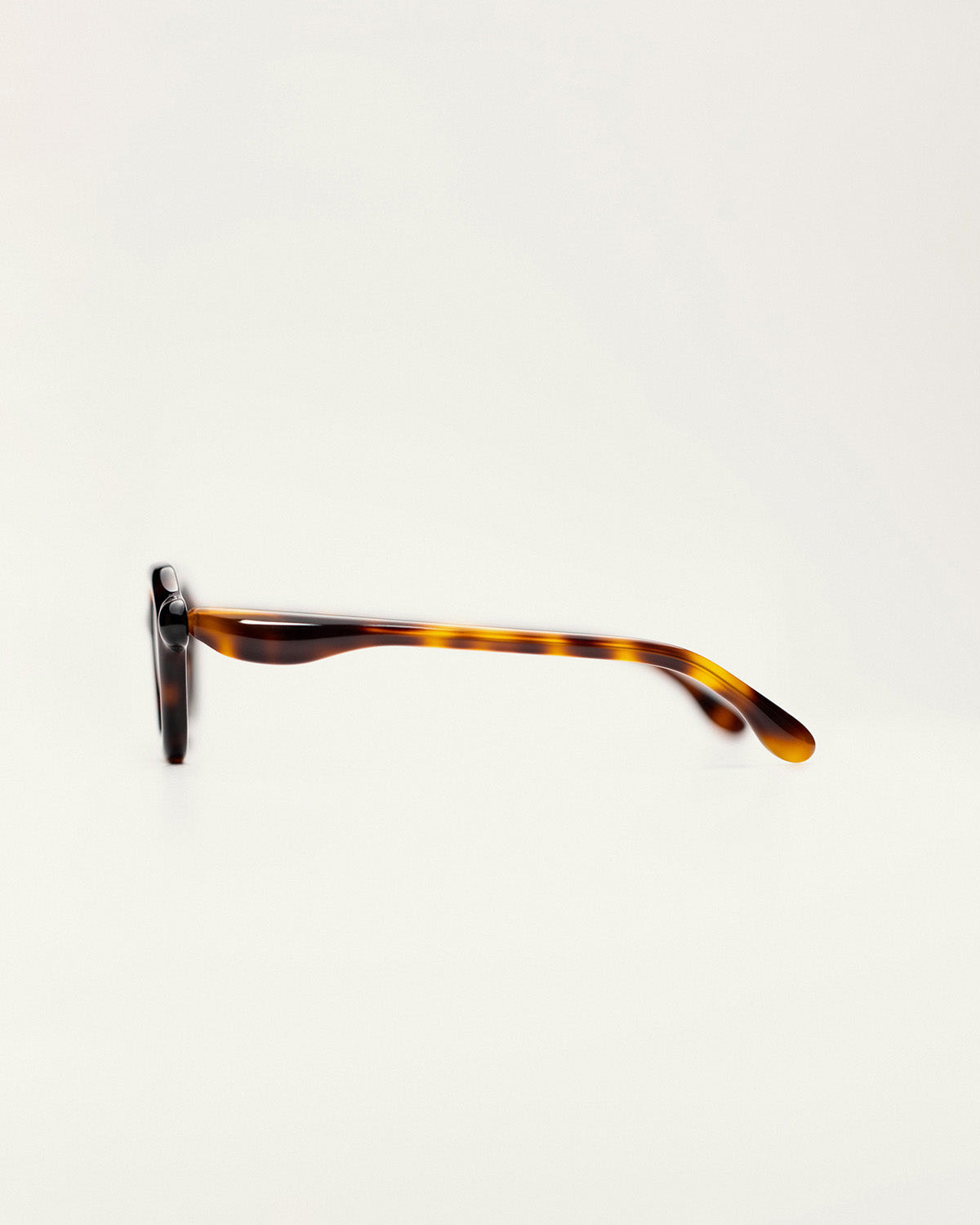 PALOCERAS A2 SUN / HAVANA GOLD