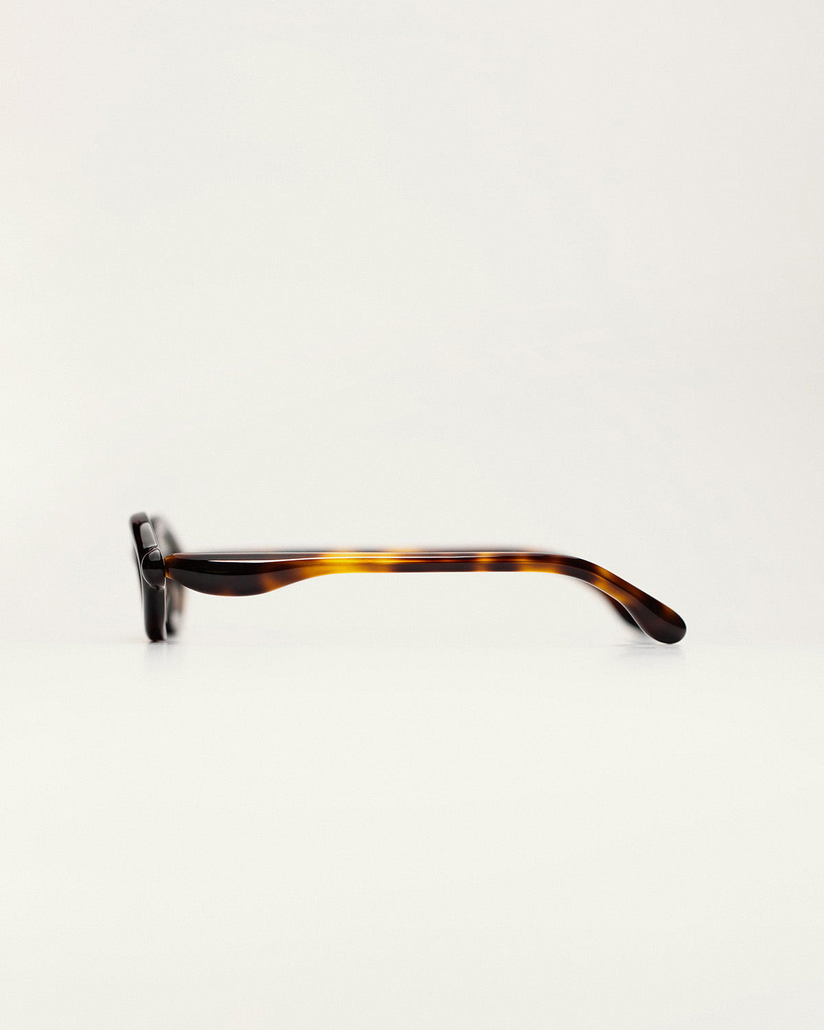 PALOCERAS D2 SUN / HAVANA GOLD