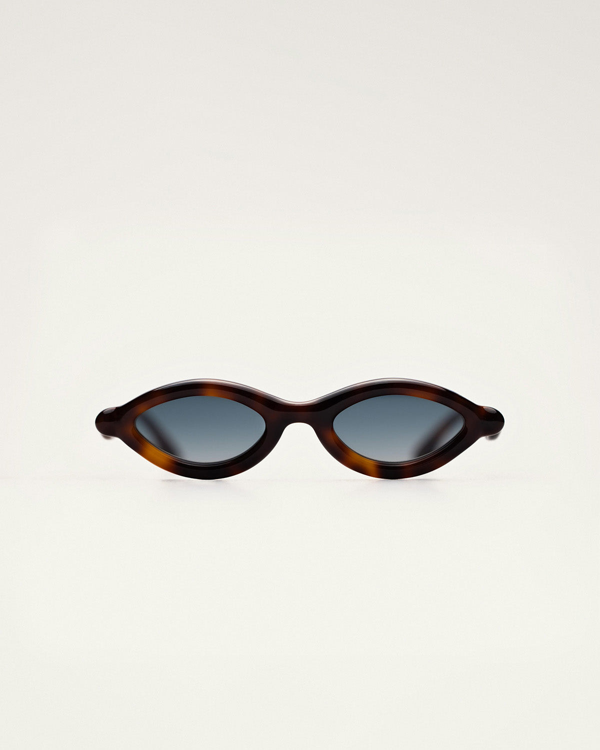 PALOCERAS D2 SUN / HAVANA GOLD